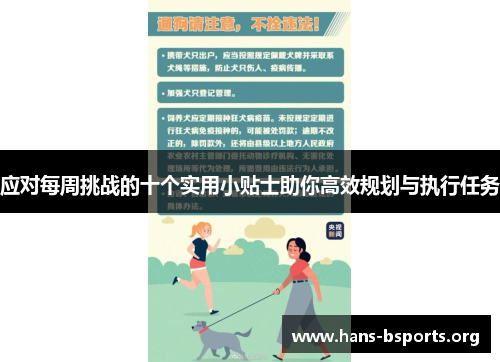 应对每周挑战的十个实用小贴士助你高效规划与执行任务 应对每周挑战的十个实用小贴士助你高效规划与执行任务