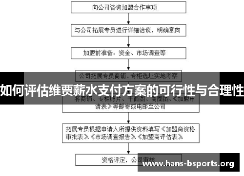 如何评估维贾薪水支付方案的可行性与合理性 如何评估维贾薪水支付方案的可行性与合理性