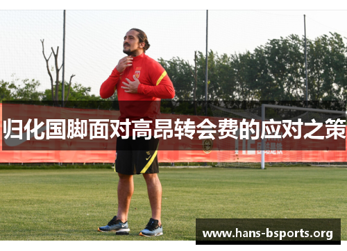 归化国脚面对高昂转会费的应对之策 归化国脚面对高昂转会费的应对之策